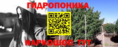 PSILOCYBIN Малоярославец