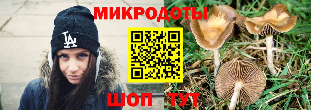 Егорьевск  Псилоцибиновые грибы Psilocybe  Вход с VPN  Галлюциногенные грибы мицелий 